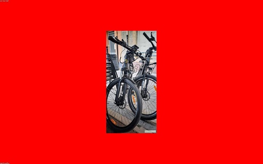 [BL-28835] E-Bike City E305